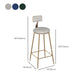 Glam Round Dining Stools Metal Low Back Bar Stools with Footrest Clearhalo 'Bar Furniture' 'Bar Stools' 'bar_stools' 'furn' 'furn_bar_stools' 'Furniture' 'Kitchen & Dining Furniture' 6962043