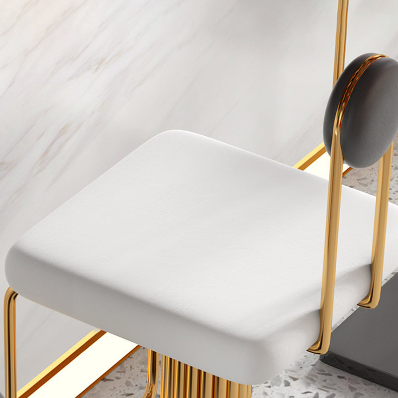 Low Back Counter Bar Stool Glam Armless Counter Chair for Restaurant