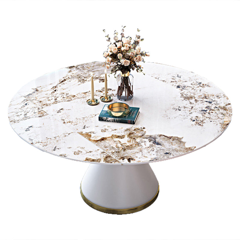 Sintered Stone Top Room Table Pedestal Dining Table for Kitchen Pandora Gold Without Chairs Clearhalo 'Dining Tables & Seating' 'Dining Tables' 'dining_table' 'furn' 'furn_dining_table' 'Furniture' 'Kitchen & Dining Furniture' 6986418