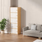 Contemporary Wooden Accent Cabinet Rectangle Storage Cabinet with Door