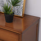 Mid Century Modern Brown Accent Cabinet with Doors in Solid Wood Rectangle Cabinet