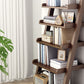 Modern Open Back Ladder Bookshelf Wooden Bookcase for Study Room Clearhalo 'Bookcases' 'furn' 'furn_bookcases' 'Furniture' 'Office Furniture' 7019888