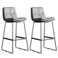 Modern Backrest Armless Counter Stool Iron Cafe Bar Stool with Cushion Light Gray 2 Piece Set Clearhalo 'Bar Furniture' 'Bar Stools' 'bar_stools' 'furn' 'furn_bar_stools' 'Furniture' 'Kitchen & Dining Furniture' 7030339