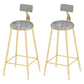 Low Back Dining Stools Round Upholstered Bar Stools with Footrest Gold Gray 2 Piece Set Clearhalo 'Bar Furniture' 'Bar Stools' 'bar_stools' 'furn' 'furn_bar_stools' 'Furniture' 'Kitchen & Dining Furniture' 7030693