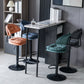 Industrial Metal Adjustable Swivel Barstool Patio Bar Stool with Cushion