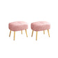 Solid Color Leather Standard Stool Modern Style Simple Household Rectangular Stool Pink 2 Piece Set Clearhalo 'furn' 'furn_ottomans_poufs' 'Furniture' 'Living Room Furniture' 'Ottomans & Poufs' 'ottomans_poufs' 7034574
