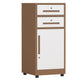 Industrial Steel Cabinet Locking Drawers and Storage Filing Cabinet White-Brown 2 Clearhalo 'Filing Cabinets' 'filling_cabinets' 'furn' 'furn_filling_cabinets' 'Furniture' 'Office Furniture' 7034809