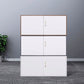Contemporary File Cabinet Metal Frame Fire-Resistant Key Lock Lateral File Cabinet Clearhalo 'Filing Cabinets' 'filling_cabinets' 'furn' 'furn_filling_cabinets' 'Furniture' 'Office Furniture' 7049421