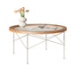 15"H Tropical Coffee Table Glass 4 Legs Coffee Cocktail Table Clearhalo 'Coffee & Accent Tables' 'Coffee Tables' 'coffee_tables' 'furn' 'furn_coffee_tables' 'Furniture' 'Living Room Furniture' 7056897