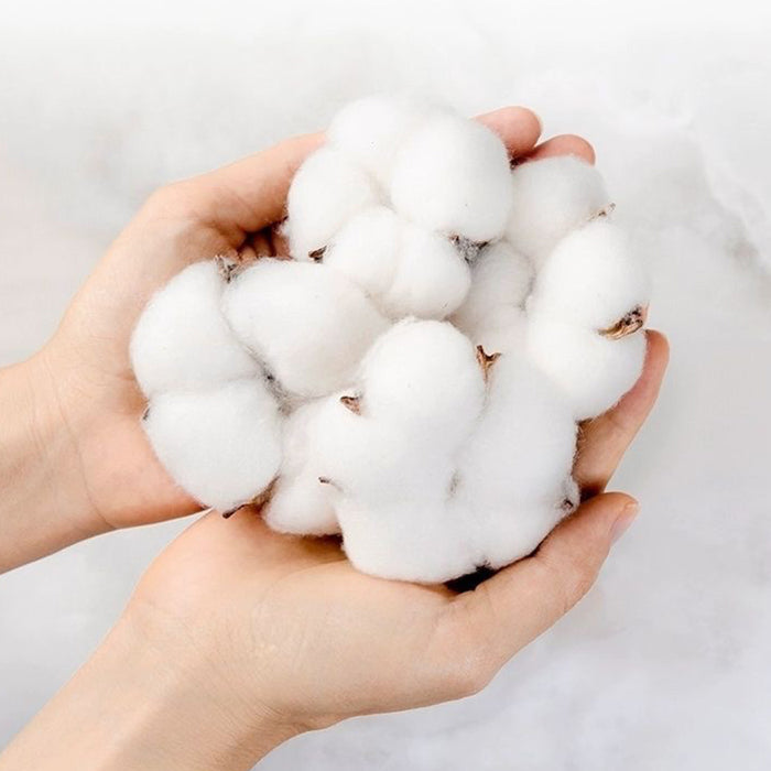 Balcon chaise à bascule de loisirs de la chaise de loi