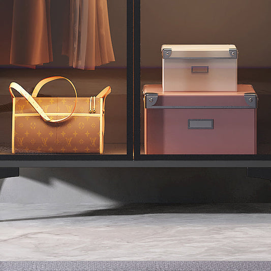 Freestanding Wood Frame Wardrobe Armoire Modern Wardrobe with Tempered Glass Doors