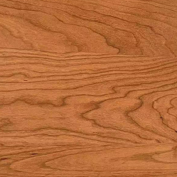 Mid-century Modern 5- Drawer Chest Rectangle Wooden Accent Chest Clearhalo 'Cabinets & Chests' 'cabinets_chests' 'furn' 'furn_cabinets_chests' 'Furniture' 'Living Room Furniture' 7173690