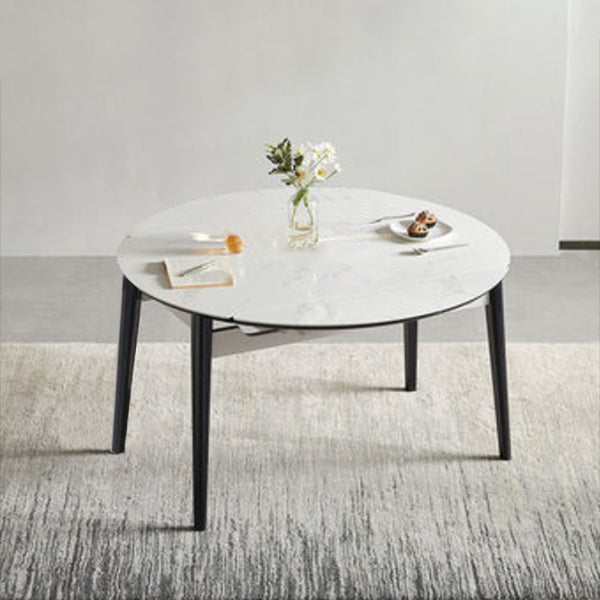 Sintered Stone Dining Table Round Drop-Leaf Dinner Table for Dining Room 51.2"L x 51.2"W x 29.9"H Without Chairs Clearhalo 'Dining Tables & Seating' 'Dining Tables' 'dining_table' 'furn' 'furn_dining_table' 'Furniture' 'Kitchen & Dining Furniture' 7177937