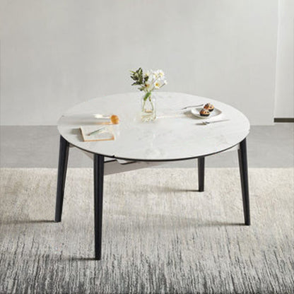Sintered Stone Dining Table Round Drop-Leaf Dinner Table for Dining Room 51.2"L x 51.2"W x 29.9"H Without Chairs Clearhalo 'Dining Tables & Seating' 'Dining Tables' 'dining_table' 'furn' 'furn_dining_table' 'Furniture' 'Kitchen & Dining Furniture' 7177937
