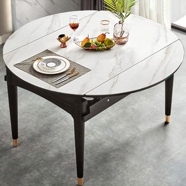 Sintered Stone Dining Table Round Drop-Leaf Dinner Table for Dining Room 53.1"L x 53.1"W x 29.9"H Without Chairs Clearhalo 'Dining Tables & Seating' 'Dining Tables' 'dining_table' 'furn' 'furn_dining_table' 'Furniture' 'Kitchen & Dining Furniture' 7177938