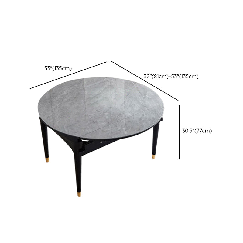 Sintered Stone Dining Table Round Drop-Leaf Dinner Table for Dining Room Clearhalo 'Dining Tables & Seating' 'Dining Tables' 'dining_table' 'furn' 'furn_dining_table' 'Furniture' 'Kitchen & Dining Furniture' 7177952