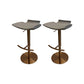 Contemporary Metal Bar Stool Footrest Counter Stool for Living Room