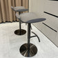 Contemporary Metal Bar Stool Footrest Counter Stool for Living Room