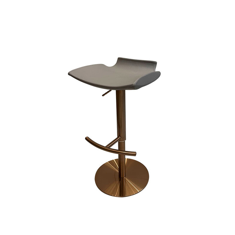 Contemporary Metal Bar Stool Footrest Counter Stool for Living Room