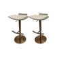Contemporary Metal Bar Stool Footrest Counter Stool for Living Room