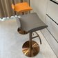 Contemporary Metal Bar Stool Footrest Counter Stool for Living Room