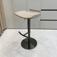 Contemporary Metal Bar Stool Footrest Counter Stool for Living Room