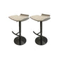 Contemporary Metal Bar Stool Footrest Counter Stool for Living Room