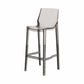 Contemporary Style Plastic Bar Stool Footrest Counter Stool for Bristol