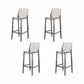Contemporary Style Plastic Bar Stool Footrest Counter Stool for Bristol