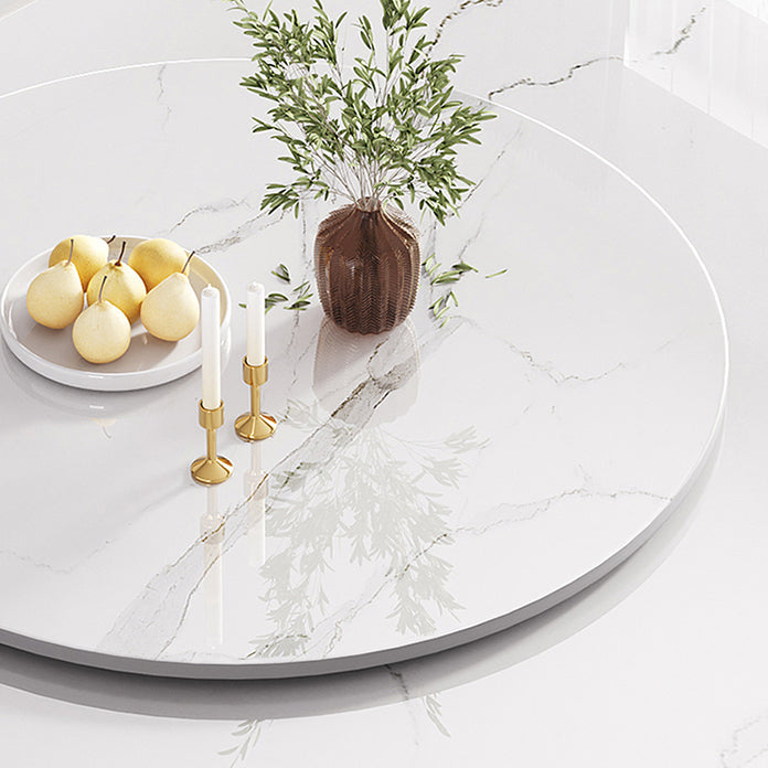 Modern Round Dining Table Sintered Stone Dinner Table for Dining Room Clearhalo 'Dining Tables & Seating' 'Dining Tables' 'dining_table' 'furn' 'furn_dining_table' 'Furniture' 'Kitchen & Dining Furniture' 7193288