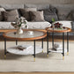 Glass & Slate Round Coffee Table Set Tropical Shelf Included Cocktail Table Clearhalo 'Coffee & Accent Tables' 'Coffee Tables' 'coffee_tables' 'furn' 'furn_coffee_tables' 'Furniture' 'Living Room Furniture' 7240328