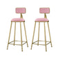 Industrial Armless Dining Stools Round Bar Stools with Metal Base Pink 2 Piece Set Clearhalo 'Bar Furniture' 'Bar Stools' 'bar_stools' 'furn' 'furn_bar_stools' 'Furniture' 'Kitchen & Dining Furniture' 7263486
