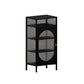 Contemporary Buffet Server Metal Dining Server with Doors for Living Room Clearhalo 'buffet_sideboard' 'Buffets & Sideboards' 'furn' 'furn_buffet_sideboard' 'Furniture' 'Kitchen & Dining Furniture' 7278603