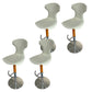 Adjustable Height Bar Stool Leather Backrest Bar Stools for Dining Room