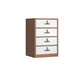 Industrial Metal Filing Cabinet Locking Drawers and Storage Cabinet White-Brown 4 Clearhalo 'Filing Cabinets' 'filling_cabinets' 'furn' 'furn_filling_cabinets' 'Furniture' 'Office Furniture' 7305254