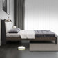 Contemporary Wood and Upholstered Bed Rectangular Standard Bed