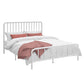 Glam Solid Color Open-Frame Bed Open-Frame Metal Bed with Custom Gold Legs