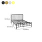Glam Solid Color Open-Frame Bed Open-Frame Metal Bed with Custom Gold Legs