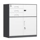Contemporary File Cabinet Metal Frame Key Lock Lateral File Cabinet for Office Clearhalo 'Filing Cabinets' 'filling_cabinets' 'furn' 'furn_filling_cabinets' 'Furniture' 'Office Furniture' 7343752