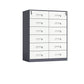 Contemporary File Cabinet Metal Frame Key Lock Lateral File Cabinet for Office Grey 12 Clearhalo 'Filing Cabinets' 'filling_cabinets' 'furn' 'furn_filling_cabinets' 'Furniture' 'Office Furniture' 7343770