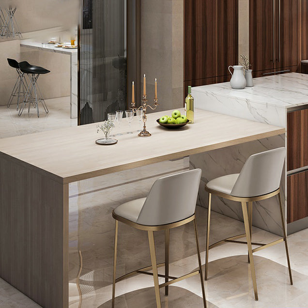 Glam Backrest Armless Counter Stool Iron Bar Stool with Cushion for Cafe Clearhalo 'Bar Furniture' 'Bar Stools' 'bar_stools' 'furn' 'furn_bar_stools' 'Furniture' 'Kitchen & Dining Furniture' 7347868