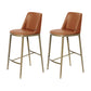 Glam Backrest Armless Counter Stool Iron Bar Stool with Cushion for Cafe Brown 2 Piece Set Counter Stool(26"H) Clearhalo 'Bar Furniture' 'Bar Stools' 'bar_stools' 'furn' 'furn_bar_stools' 'Furniture' 'Kitchen & Dining Furniture' 7347879