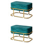 Multi Colors Ottoman Removable Slipcover Upholstered Velvet Ottoman Blackish Green Rectangle 2 Piece Set Clearhalo 'furn' 'furn_ottomans_poufs' 'Furniture' 'Living Room Furniture' 'Ottomans & Poufs' 'ottomans_poufs' 7375051