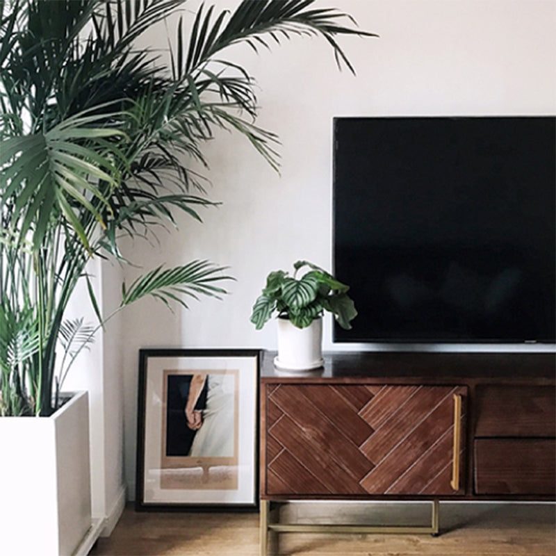 Glam TV Stand Console Solid Wood TV Media Stand with 2 Drawers Clearhalo 'furn' 'furn_tv_stands_entertainment_centers' 'Furniture' 'Living Room Furniture' 'TV Stands & Entertainment Centers' 'TV Stands & Media Storage Furniture' 'tv_stands_entertainment_centers' 7379281