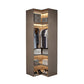 Brown Engineered Wood Wardrobe Cabinet Modern Style Wardrobe Closet without Light
