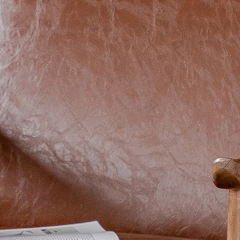 Solid Wood Side Chair Stain Resistant Lounge Chair for Living Room Clearhalo 'Accent Chairs' 'accent_chairs' 'Chairs & Seating' 'furn' 'furn_accent_chairs' 'Furniture' 'Living Room Furniture' 7390270