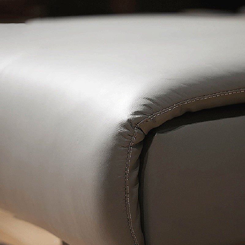 Modern Cushioned Chaise Lounge Leather Recessed Arms Chaise with Pillow Clearhalo 'Chairs & Seating' 'Chaise Lounge' 'chaise_lounge' 'furn' 'furn_chaise_lounge' 'Furniture' 'Living Room Furniture' 7412962