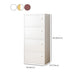 Modern Accent Cabinet Scratch Resistant Wood Cabinet with Doors