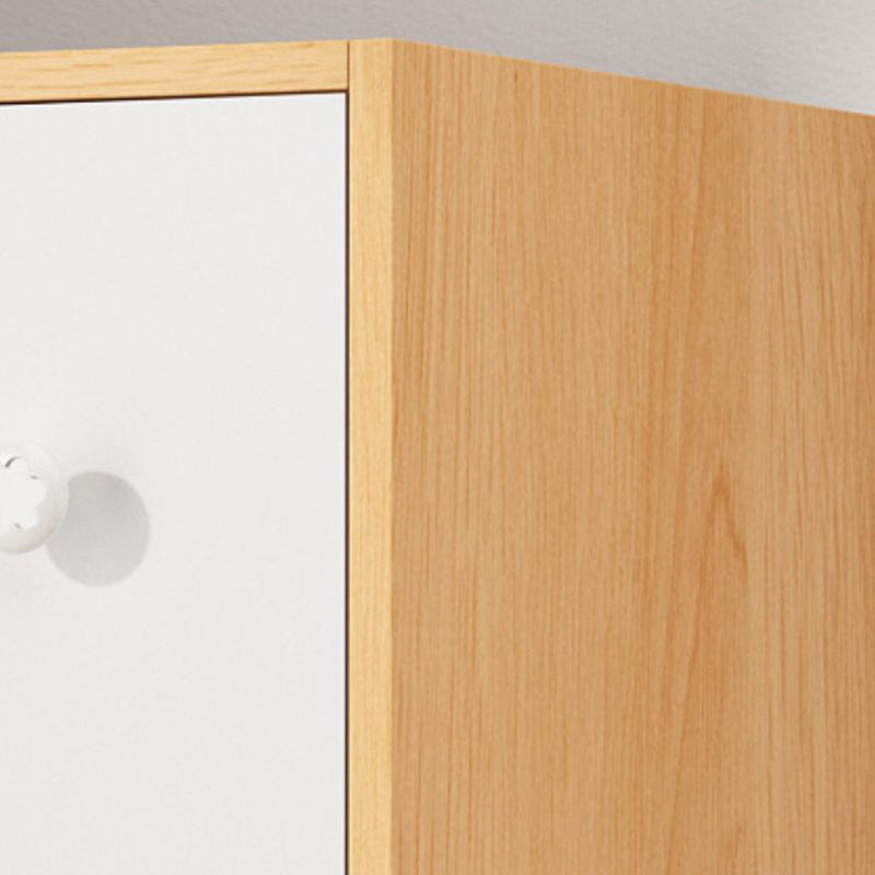 Modern Accent Cabinet Standard No Distressing Wood Cabinet with Doors Clearhalo 'Cabinets & Chests' 'cabinets_chests' 'furn' 'furn_cabinets_chests' 'Furniture' 'Living Room Furniture' 7446047