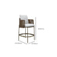 Indoor Living Room Bar Stool Upholstered Bar Stool with Footrest